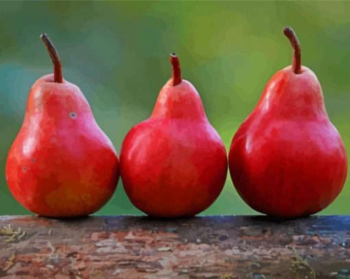 Red Pears In A Row Diamond Paintings