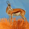 Springbok Animal Diamond Paintings