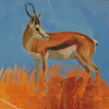 Springbok Animal Diamond Paintings