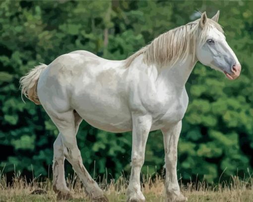 White Percheron Horse Diamond Paintings