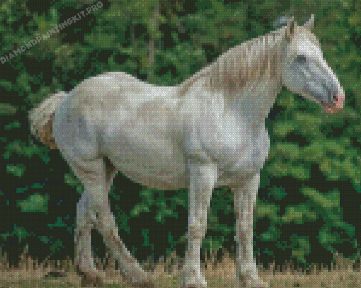 White Percheron Horse Diamond Paintings