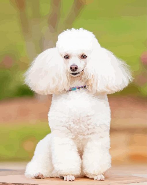 White Poodle Dog Diamond Paintings