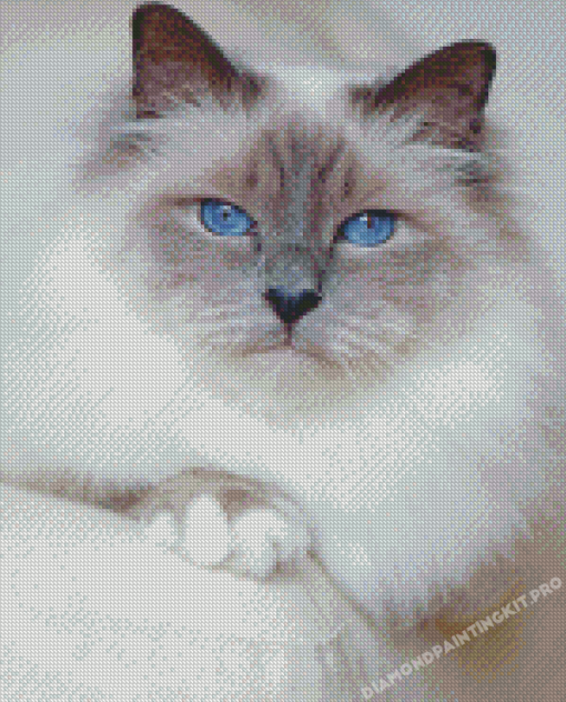 White Siamese Cat With Blue Eyes Diamond Paintings