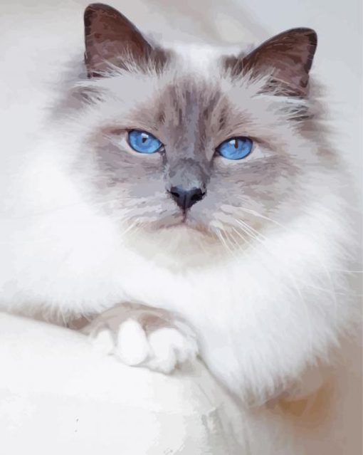 White Siamese Cat With Blue Eyes Diamond Paintings