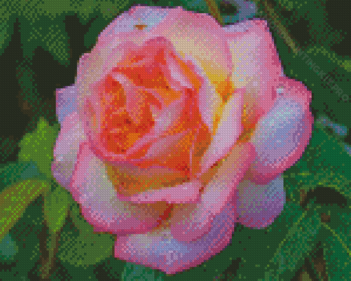 Aesthetic Peace Rose Diamond Paintings