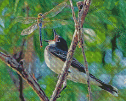 Bird With Dragonfly Diamond Paintings