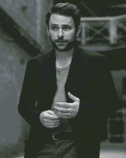 Black And White Charlie Day Diamond Paintings