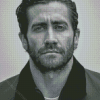 Black And White Jake Gyllenhaal Diamond Paintings