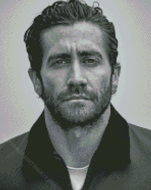 Black And White Jake Gyllenhaal Diamond Paintings