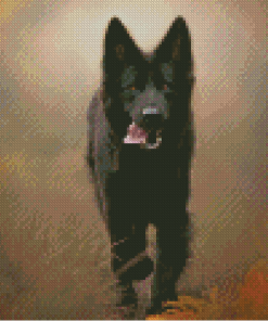 Black German Shepherd Puppy Diamond Paintings