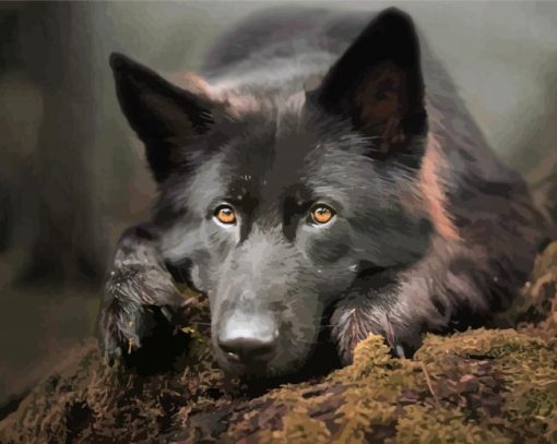 Black German Shepherd Dog Sitting Diamond Paintings