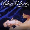 Blue Velvet Movie Poster Diamond Paintings