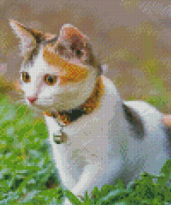 Calico Cat Animal Diamond Paintings