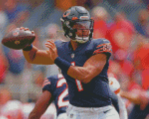 Chicago Bears NFL Football Players Diamond Paintings