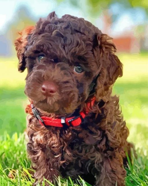 Chocolate Labradoodle Puppy Diamond Paintings