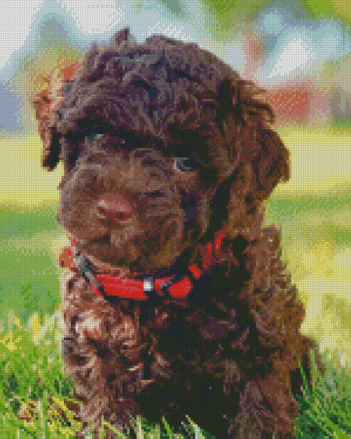 Chocolate Labradoodle Puppy Diamond Paintings