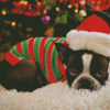 Christmas Boston Terrier Diamond Paintings