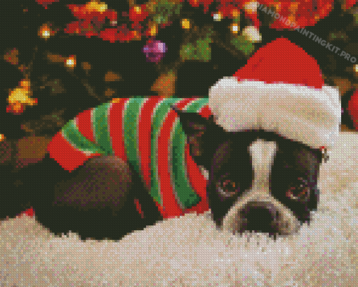 Christmas Boston Terrier Diamond Paintings