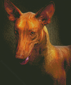 Close Up Pharaoh Hound Dog Diamond Paintings