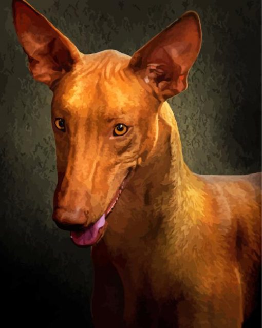 Close Up Pharaoh Hound Dog Diamond Paintings