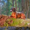 Colourful Bavarian Mount Diamond Paintings