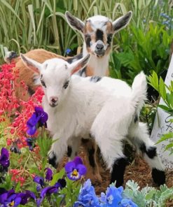 Cute Floral Goat Diamond Paintings