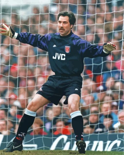 David Seaman English Goalkeeper Diamond Paintings