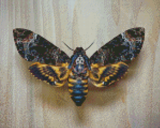 Death Moth Insect Diamond Paintings
