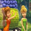 Disney Fairies Diamond Paintings