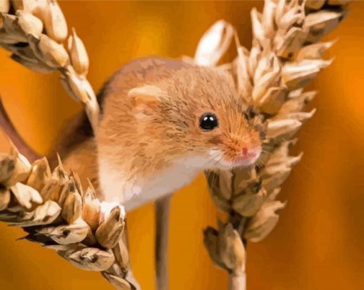 Field Mouse With Wheat Diamond Paintings