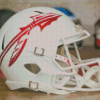 Florida State Seminoles Helmet Diamond Paintings