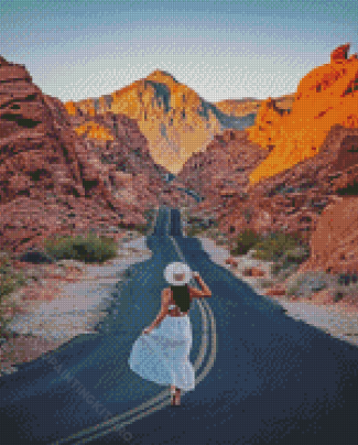 Follow Me To Valley Of Fire State Park Diamond Paintings