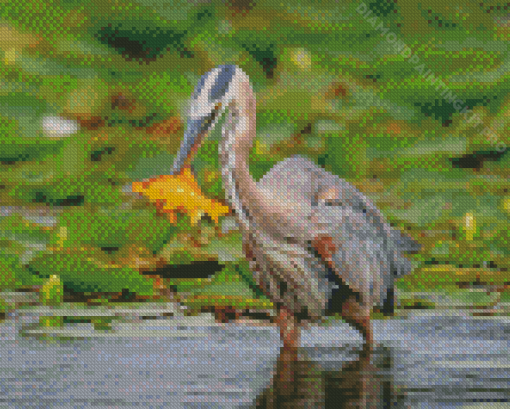 Heron And Orange Fish Diamond Paintings