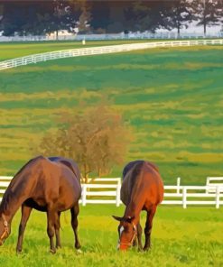 Horses Farm Diamond Paintings