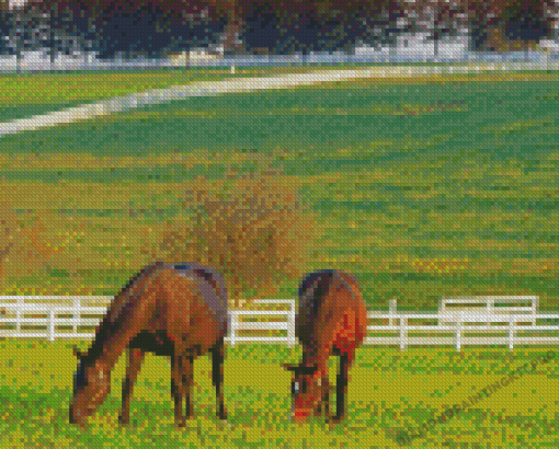 Horses Farm Diamond Paintings