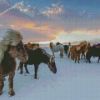 Icelandic Horses Flock Diamond Paintings