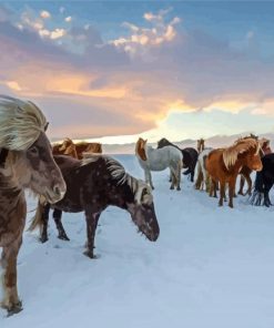 Icelandic Horses Flock Diamond Paintings
