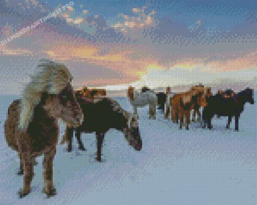 Icelandic Horses Flock Diamond Paintings