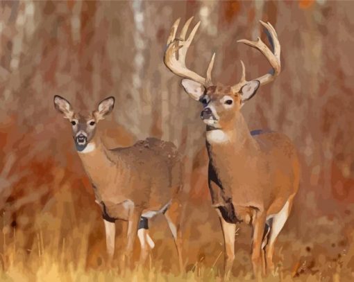 Large Buck And Doe Diamond Paintings