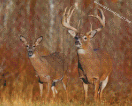 Large Buck And Doe Diamond Paintings