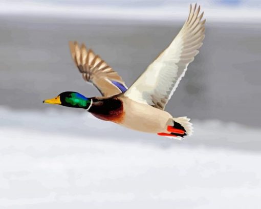 Mallard Duck Bird Flying Diamond Paintings