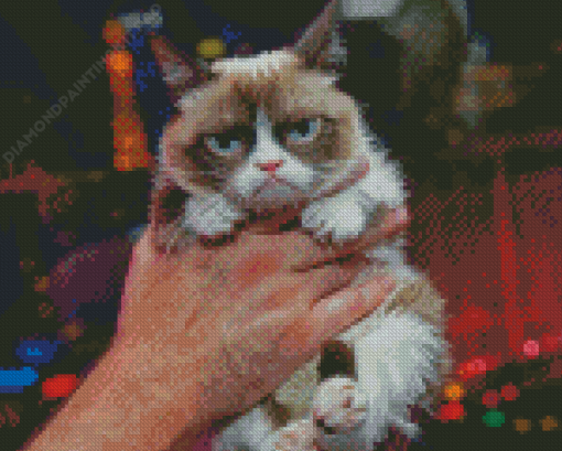 Man Holding Grumpy Cat Diamond Paintings