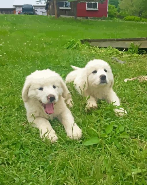 Maremma Sheepdog Puppies Diamond Paintings