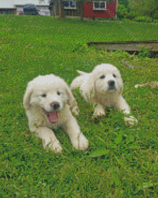 Maremma Sheepdog Puppies Diamond Paintings