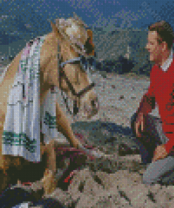 Mr Ed Scene Diamond Paintings