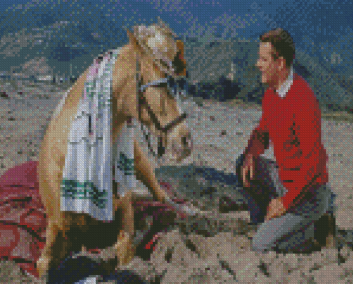 Mr Ed Scene Diamond Paintings