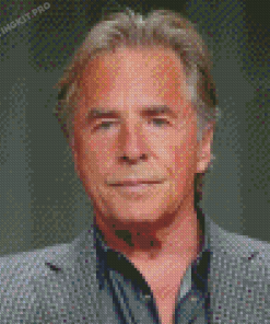 Old Don Johnson Diamond Paintings