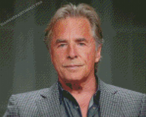 Old Don Johnson Diamond Paintings