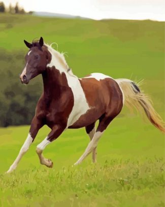 Pinto Horse Running Diamond Paintings