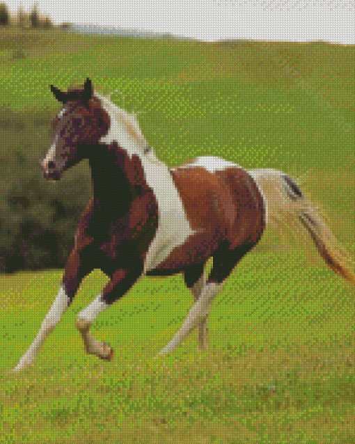 Pinto Horse Running Diamond Paintings